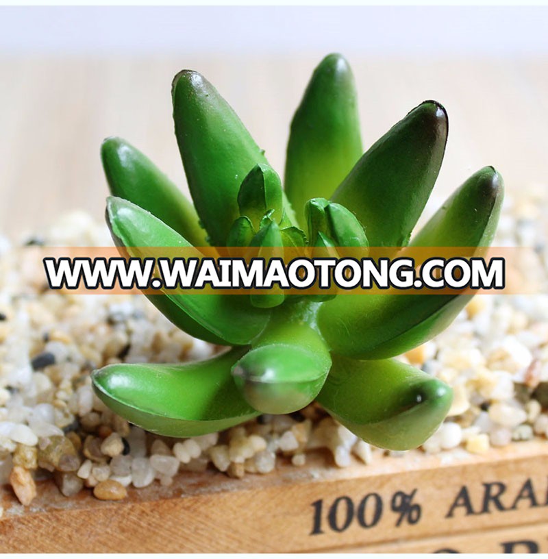 Factory plants artificial mini succulent plant for home decoration