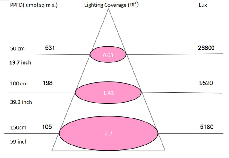 2019 new design full spectrum COB chip 300w LED plant  grow light