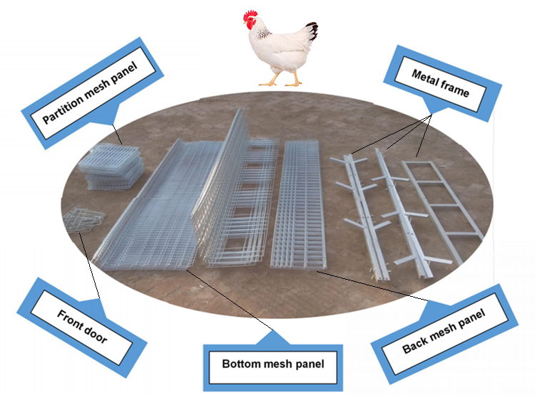 Poultry Farm Chicken Egg Laying Cages Layer Laying Hens Battery Cage