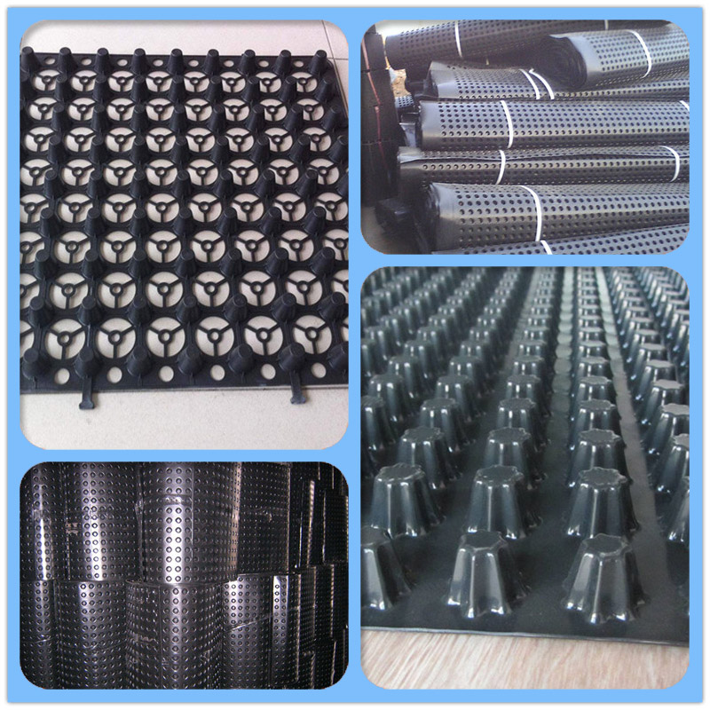 New High Density PE Material Drainage Plate/board