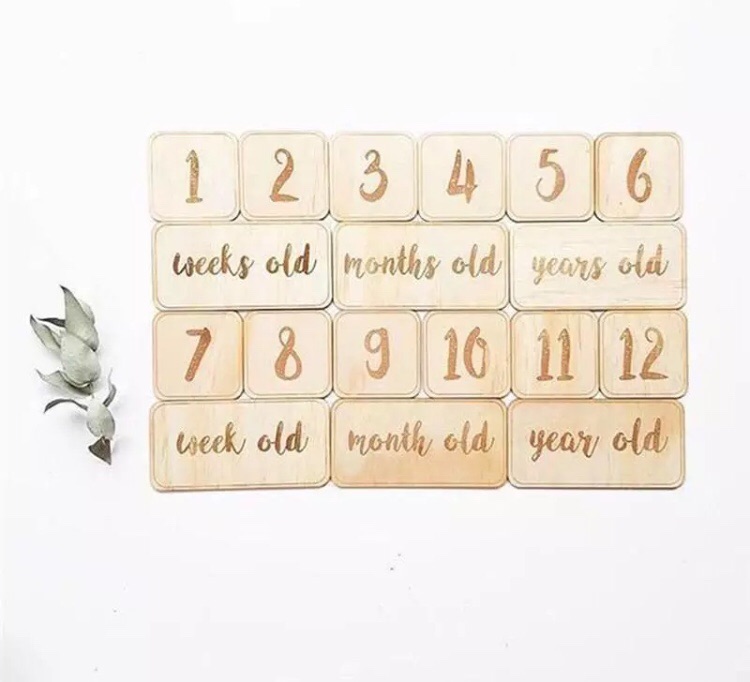 Milestone Cards, Baby's First Year, Monthly Photo Picture Props