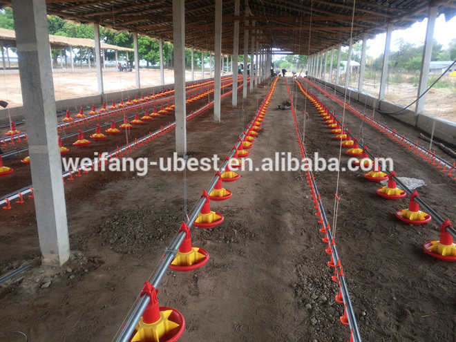 auger feed system for poultry, pan feeding system, poultry automatic feeding system