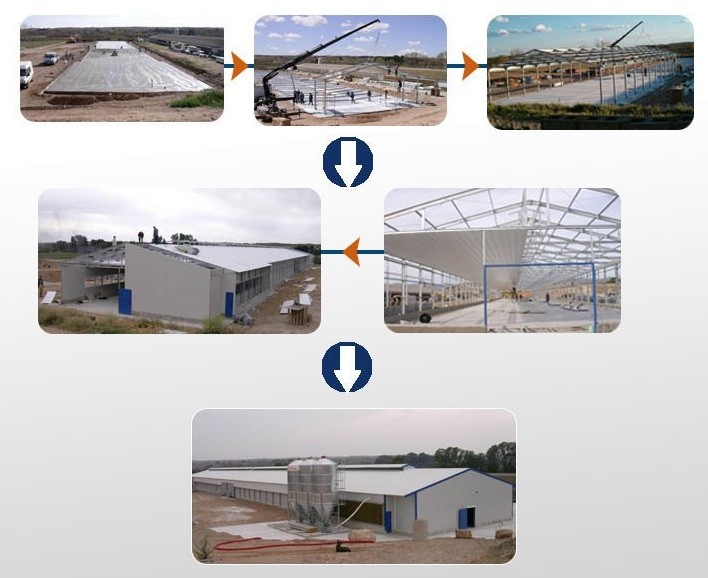 Light steel structure animal shelter products