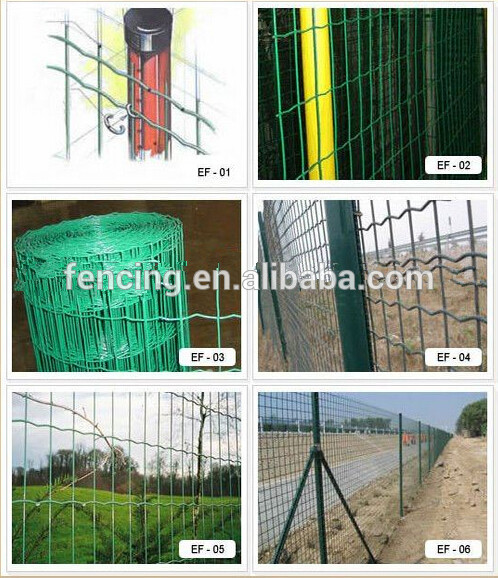 Welded Euro fence /Safety garden Euro fence alibaba manufacturer