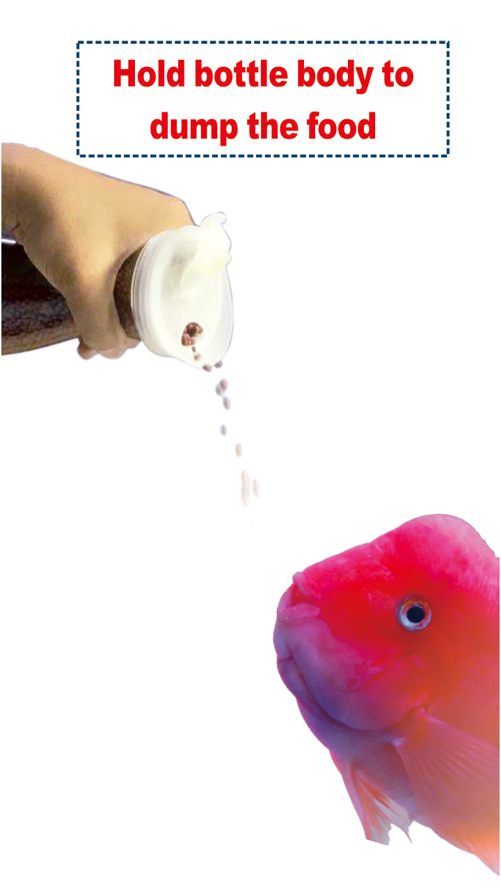 Minjiang parrot fish food for aquarium fish feeding factory cheap price red feeds