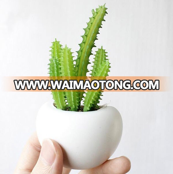 Hot sale plastic artificial succulent plant for fridge decoration