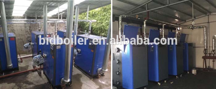 Biomass wood pellet water boiler for domestic heating