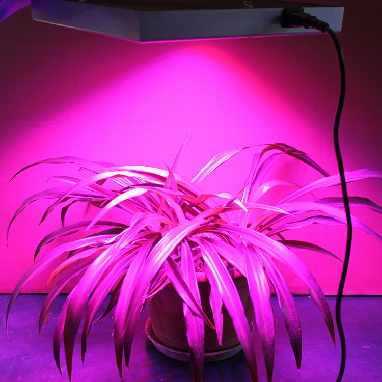 High performance led panel plant naturer culture indoor led grow light,chinese led plant grow light price