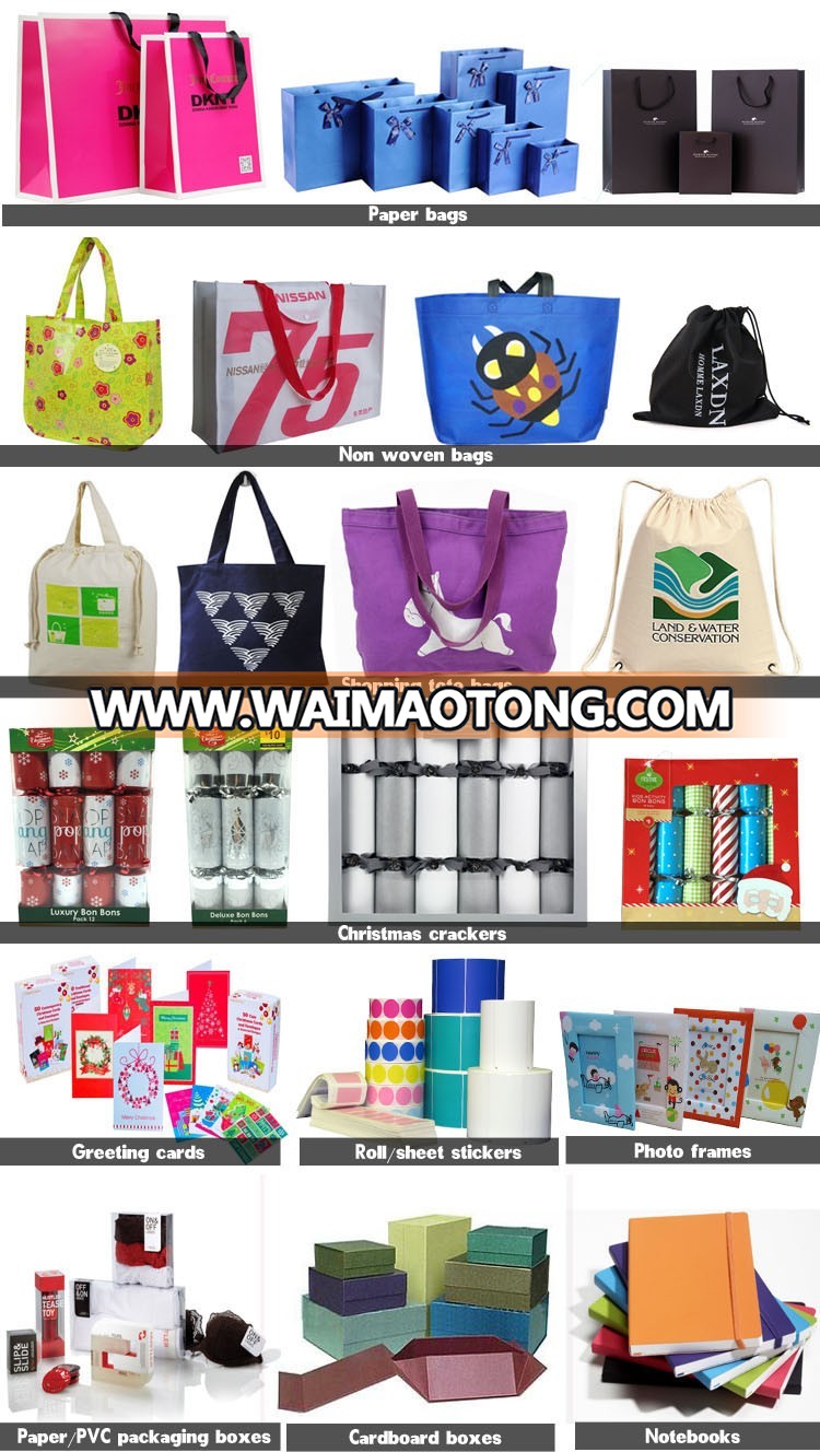 Luxury Laminated Paper Shopping Bag, paper bag with handle, wholesale paper bag