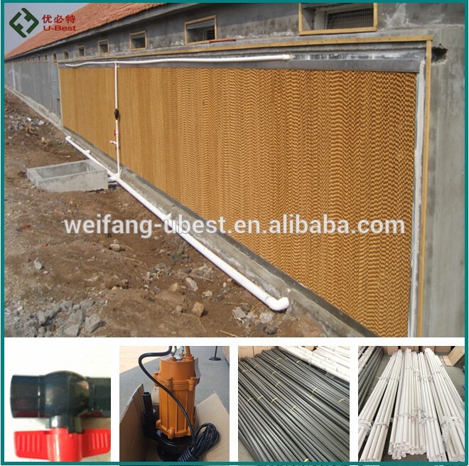 Automatic poultry farm chicken broiler feeding system