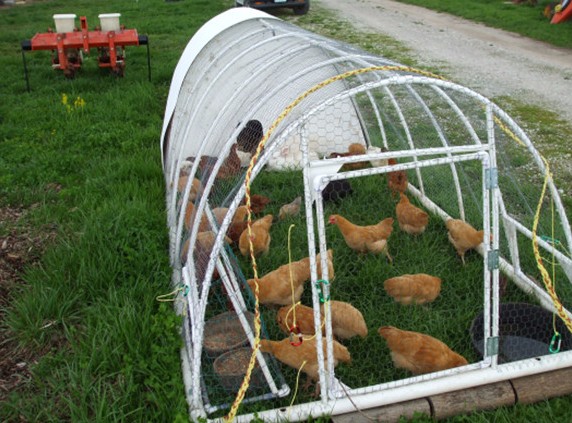 Eco-Friendly Portable and Foldable Breathable Metal Wire Dog Crates Cages Kennels