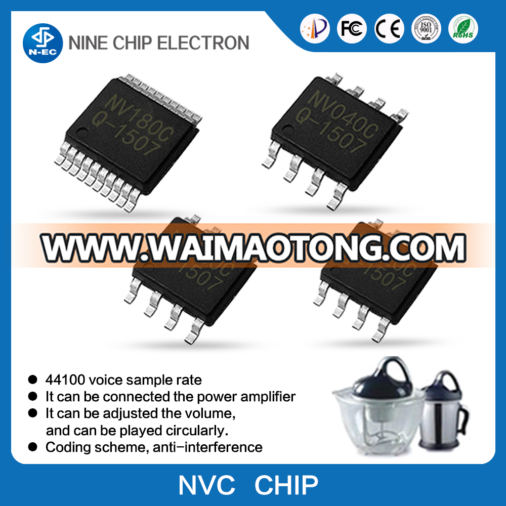 MP3 voice chip