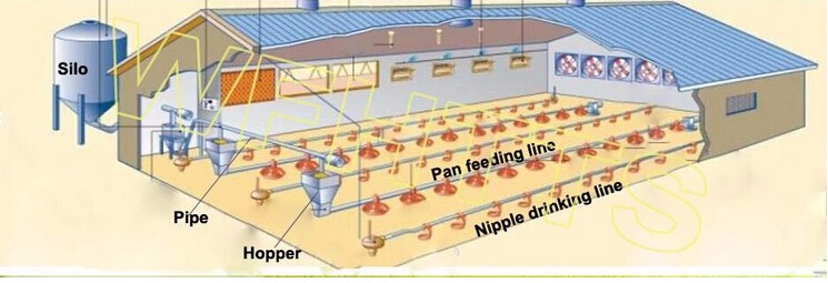 auto screw feeder Type and Chicken Use pan feeding line for broiler