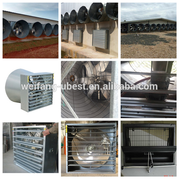 high performance poultry equipment suppliers in south africa