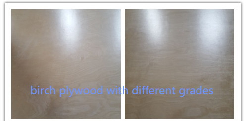 commercial plywood at wholesale price/ 15mm baltic birch plywood