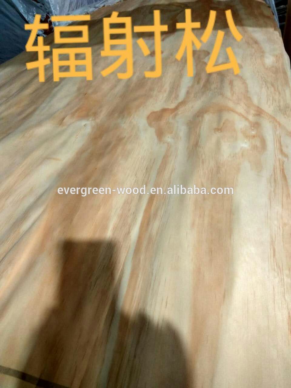 Pine veneer natural in rotary cut