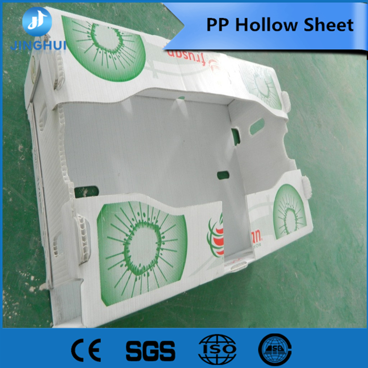 PP corrugatedcolorful hollow corrugated plastic sheet China manufacturer