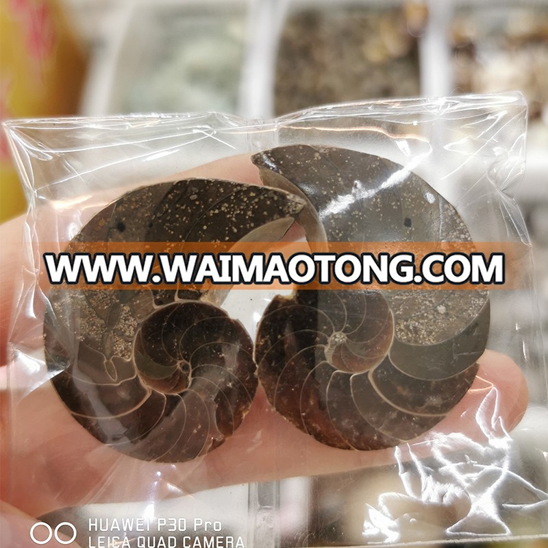 3-5CM Wholesale Natural Ammonite Fossils Jade Madagascar Conch Fossils Slices Conch Shell for Decor