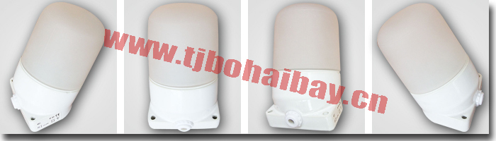 BHB product weight 0.63 kg sauna lamp for sauna room