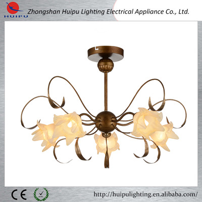 Modern simple elegant indoor light fixture of ceiling light