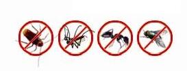 Wholesale Best Insect Killer Aerosol Insecticide Spray