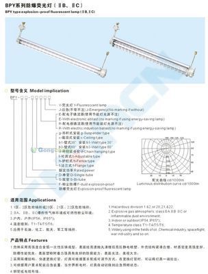 Explosion-proof T8 fluorescent lights fixture