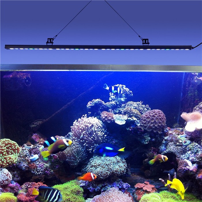 1000K white blue green uv full spectrum 45 inch 36x3w 108w coral reef used led aquarium light