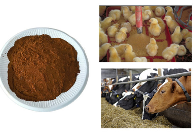 Animal Feed Fertilizer Additives Fulvic Acid