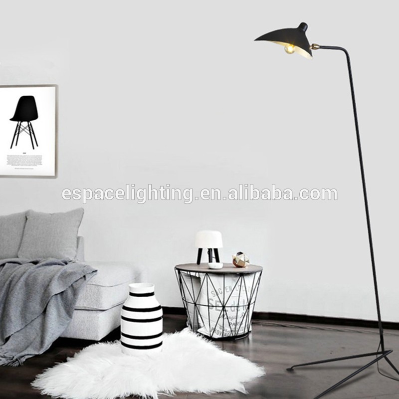 Modern Decorative Floor Lamp