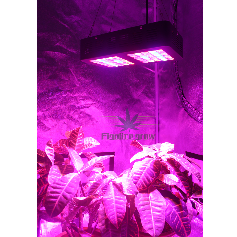 Led Grow Light 300w Full Spectrum Led Grow Lights