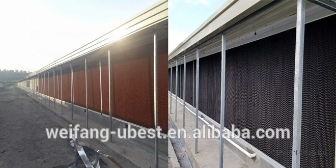 chinese supplier broiler chicken farming equipment for meat production