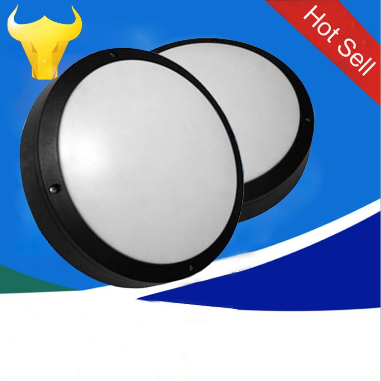 IP65 300mm LED Die casting side light out led bulk head lights ceiling lights