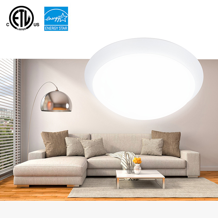 Surface Mounted LED Smart Colorful Ceiling LED Light White