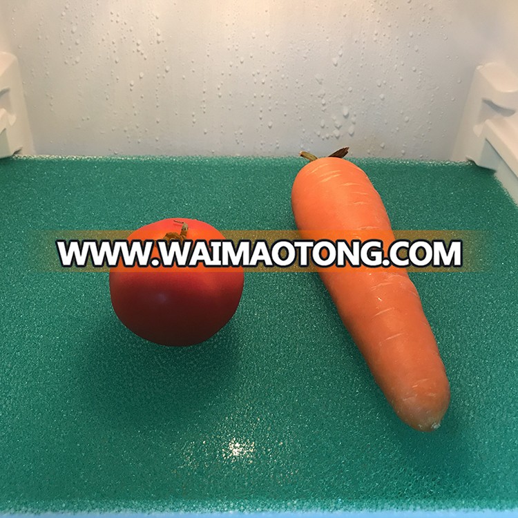 2018 New China Supplies Anti-Mould Vegetable and Fruit Fresh Life Extender Negative Oxygen Ion Refrigerator Fridge Mat