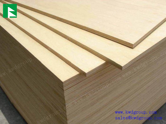 poplar plywood sheet / cheap plywood / birch plywood