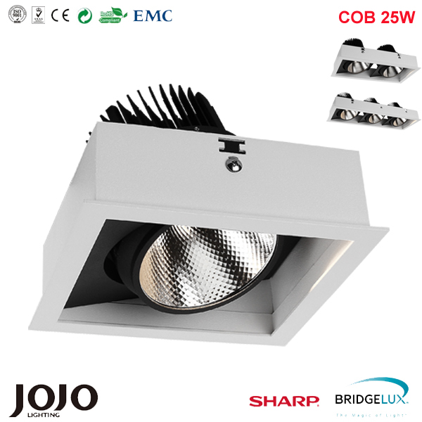 2 x 10W cob led commercial lighting with sharp led