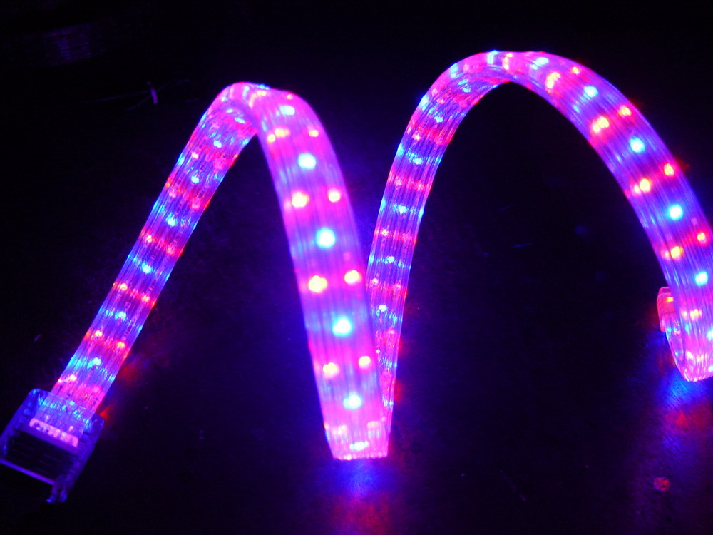 230v CE RoHS IP65 PVC round 2 wires led rope light indoor and outdoor decoration LED strip neon flex light