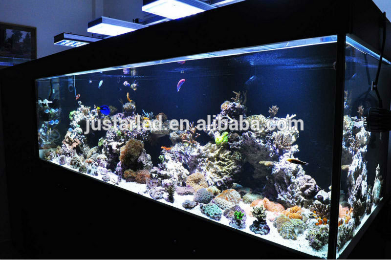 New design high power multi color chinese cheap aquarium light led