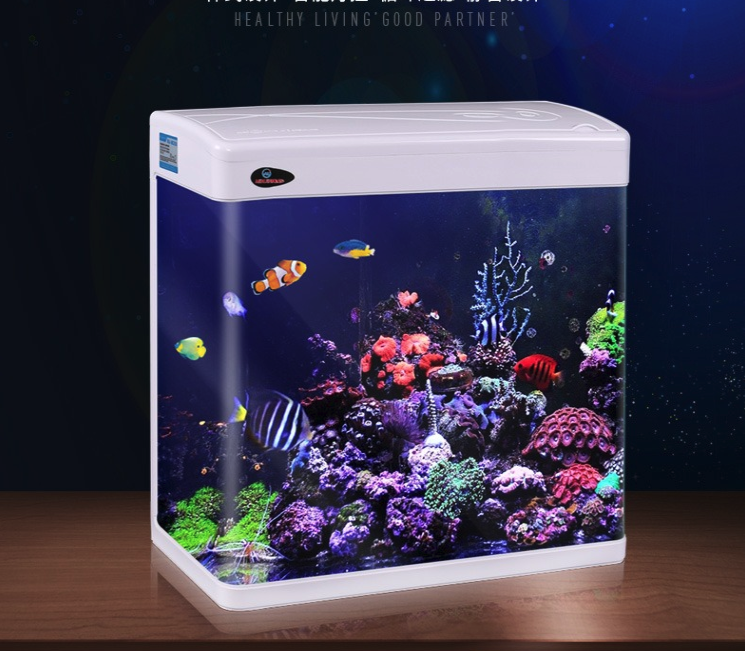 Minjiang mini  aquarium new fish tank glass  LED lamp table