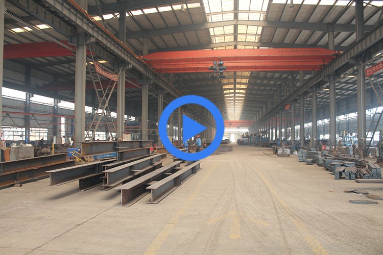 Industrial Prefabricated Steel Storage Hall