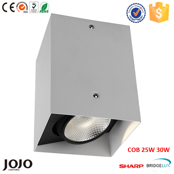 COB 9W 15W 20W 25W 35W Ceiling square surface downlight