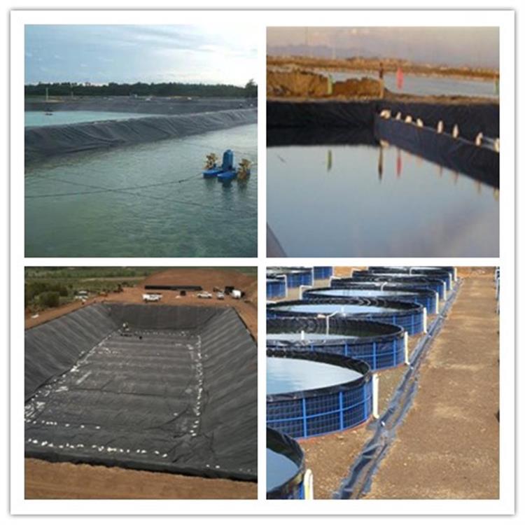 Smooth Surface HDPE Plastic Waterproof Geomembrane Liner for