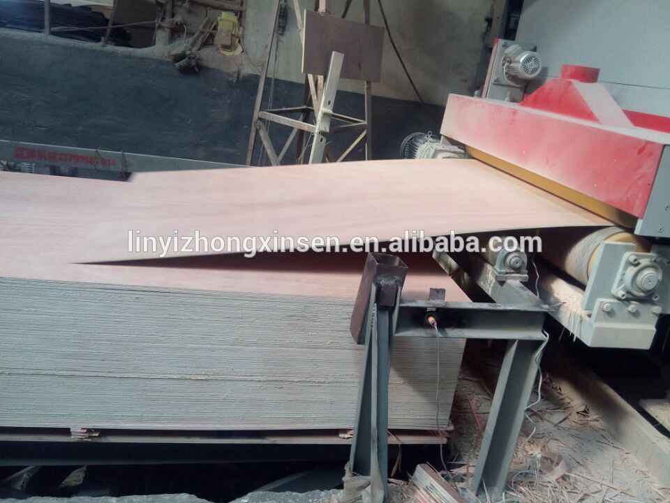 pine core plywood/korindo plywood/plywood plate