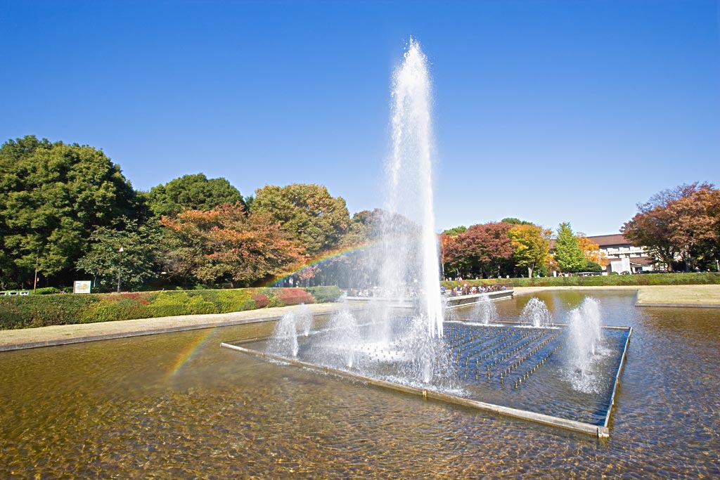 High Jet Music Dancing Water Fountain