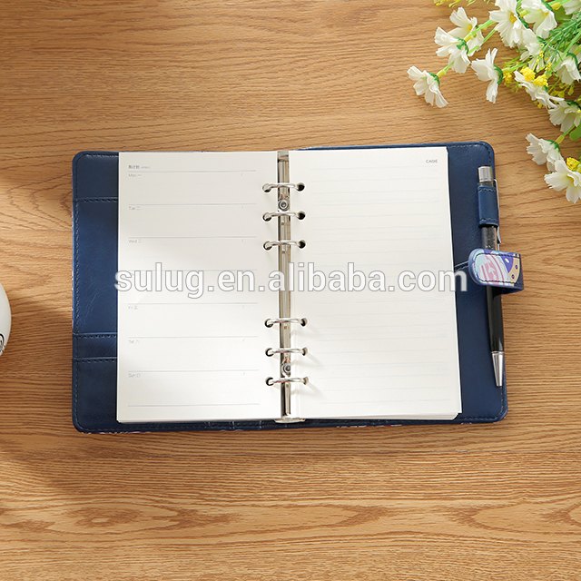 custom A4 A5 Subject notebook spiral bound journal planner plush journal