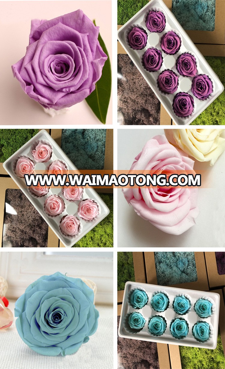 Best selling 3-4cm head natural preserved rose in ring box