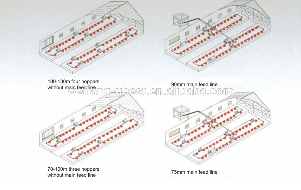 Automatic breeder chain pan feeding system for poultry equipment