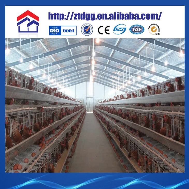 Light steel structure animal shelter products