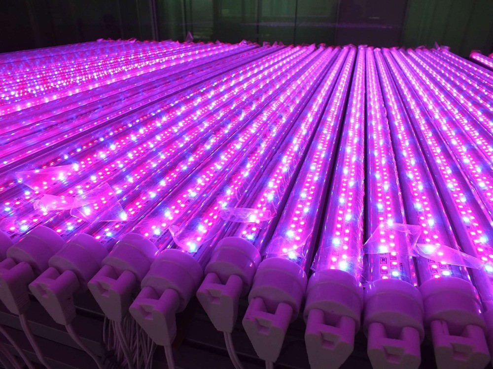 T5 fluorescent grow light fixture for plants fluorescent lamp