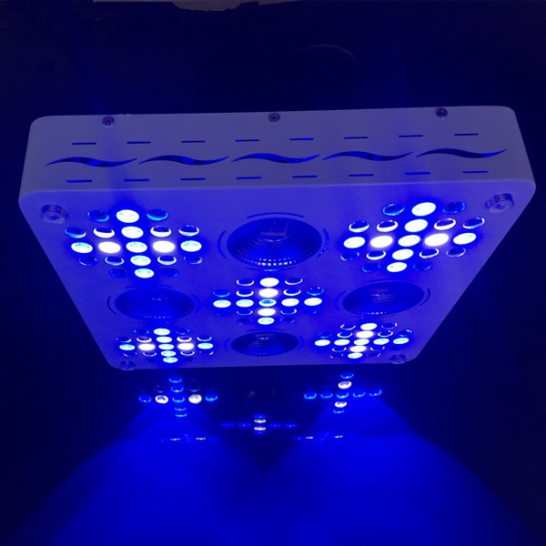 2018 new design smart wifi APP control full spectrum veg bloom 1000w led grow light